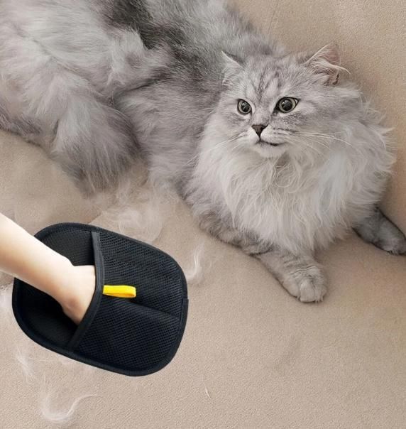 little4all™- Vet Recommended Glove (upto 50% off 🔥🔥)